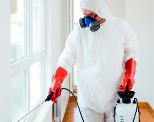 fumigacion 500 x 500